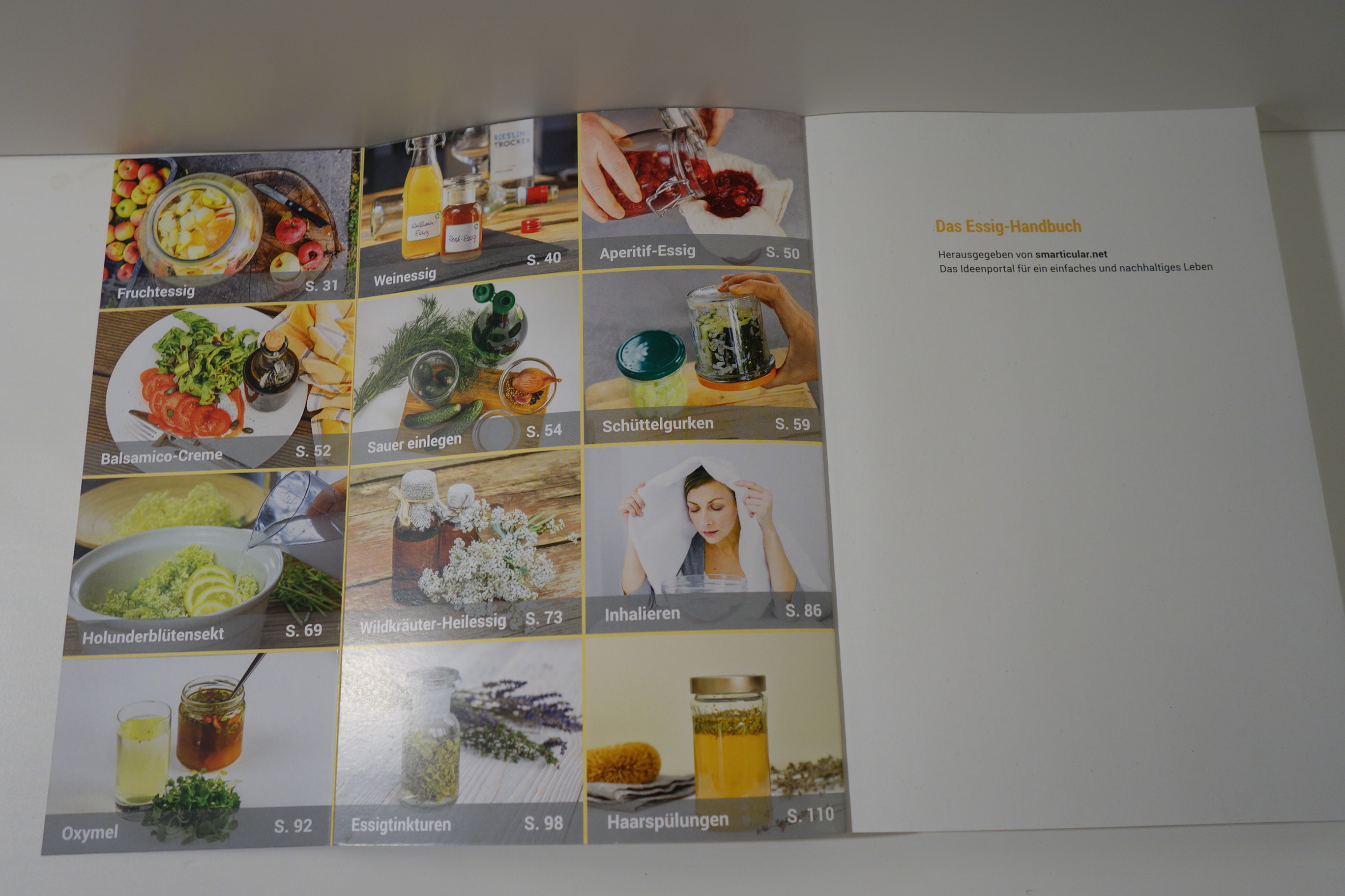 Buch Das ESSIG Handbuch