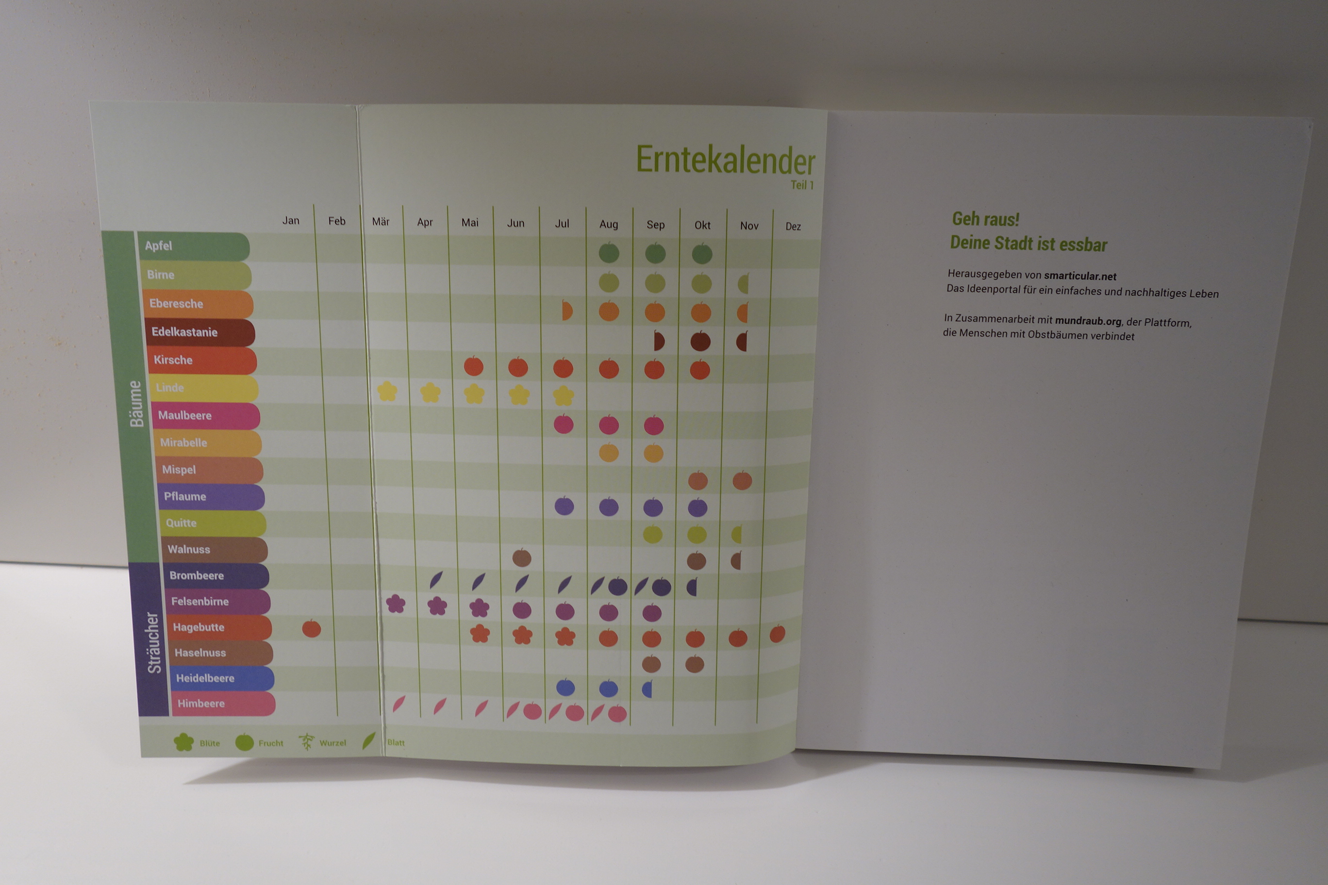 Buch Geh raus! Deine Stadt ist essbar