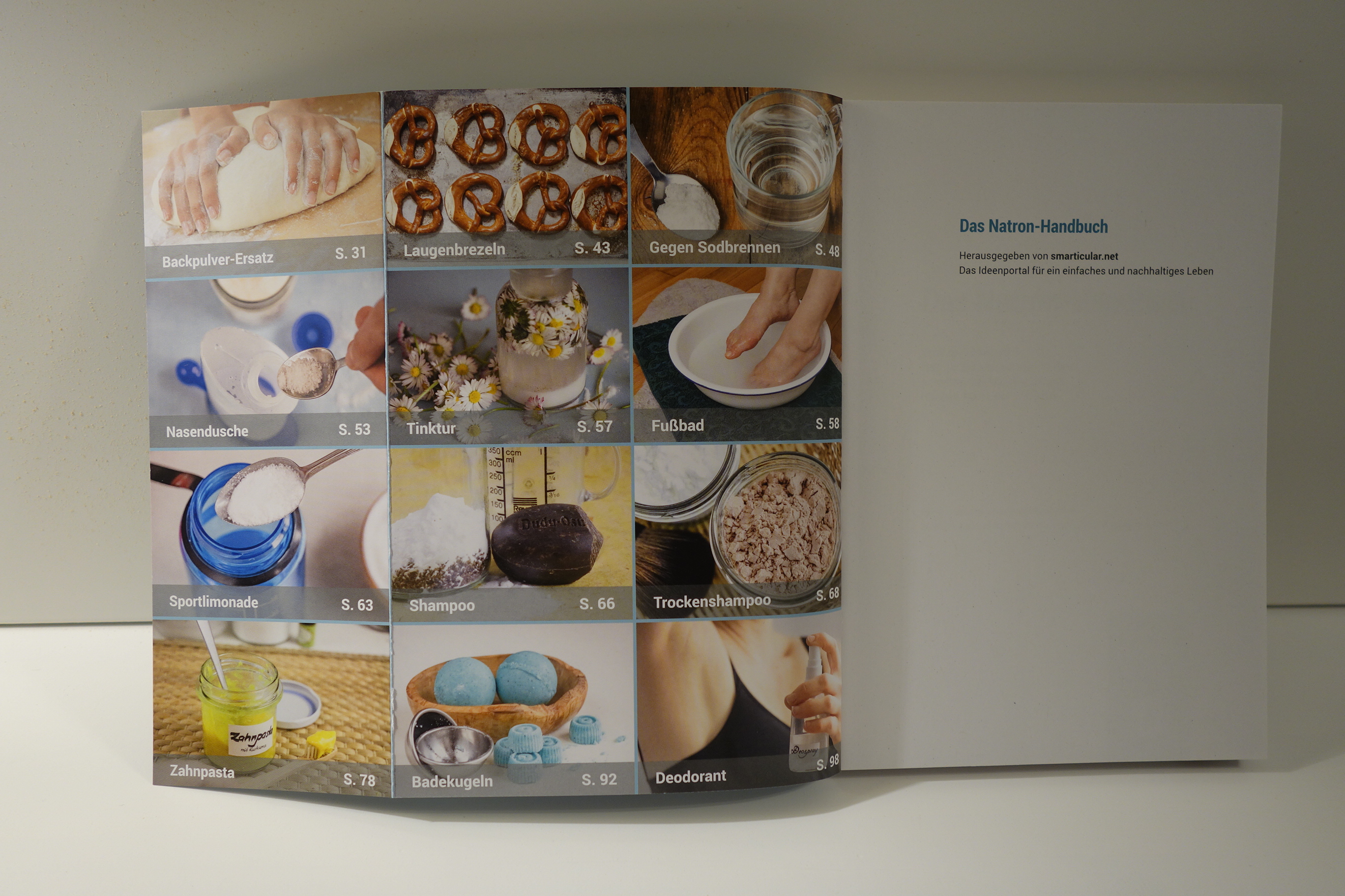 Buch Das NATRON Handbuch