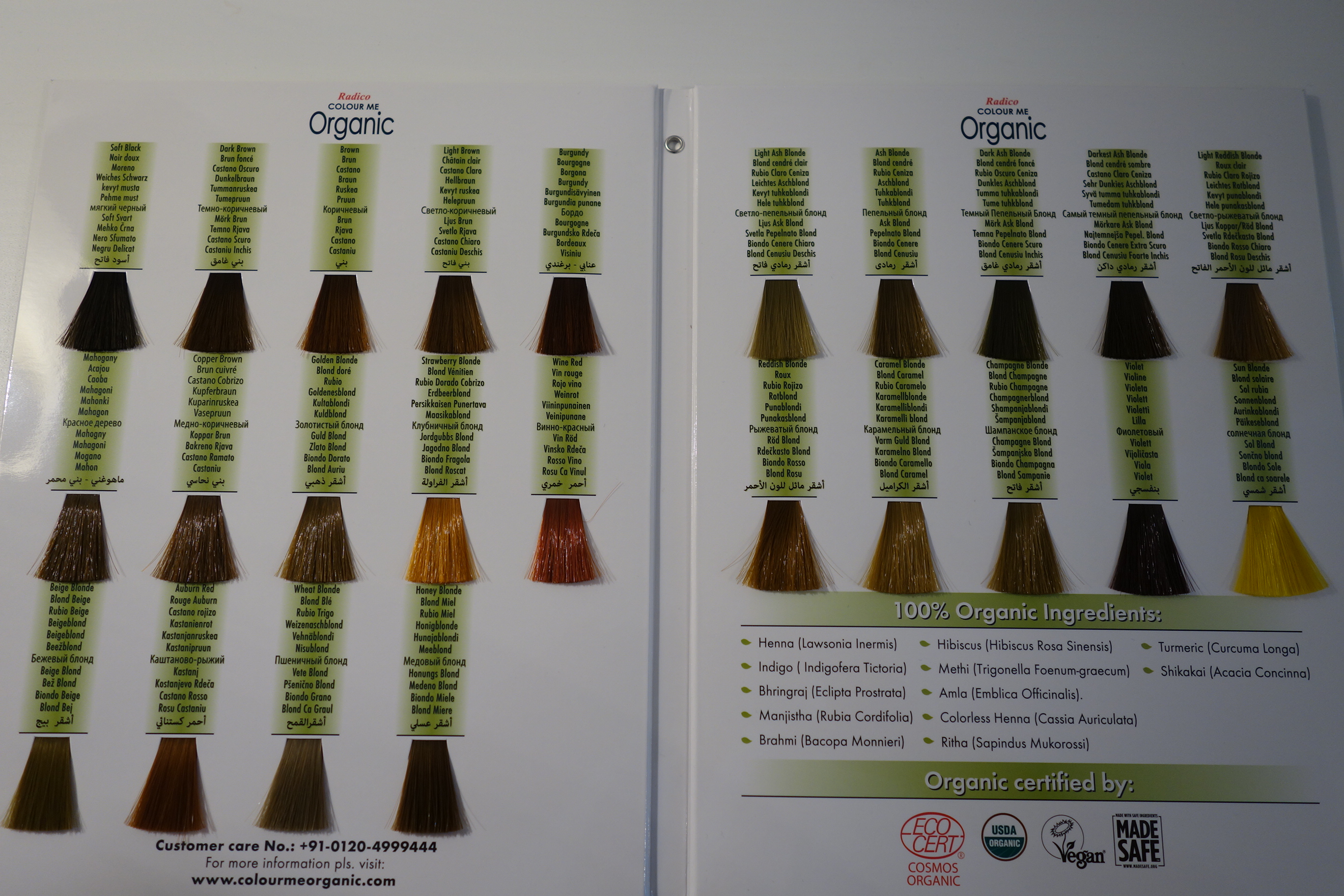 Radico Haarfarbe Aschblond 100g